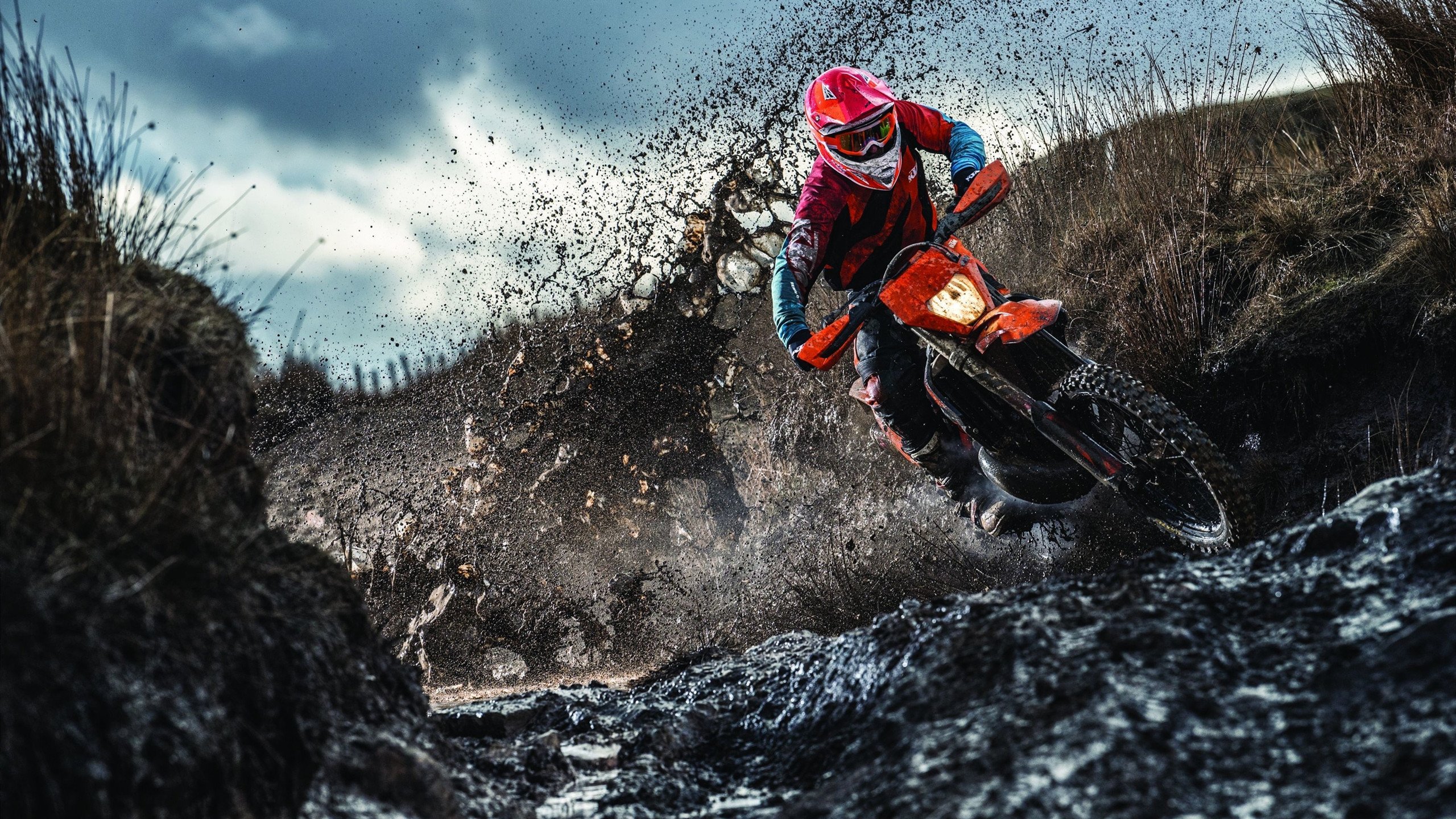 仰泳赛场南非表现持续稳定，仰泳项目