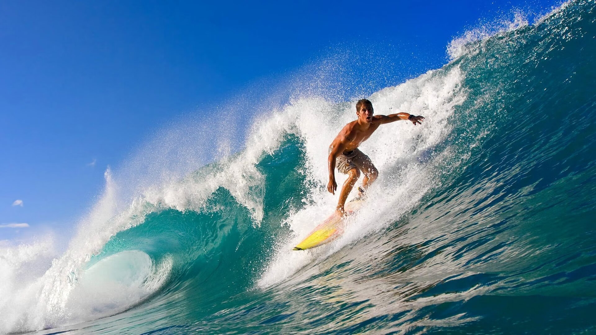 奥地利仰泳节奏控制出色，澳大利亚女子仰泳冠军