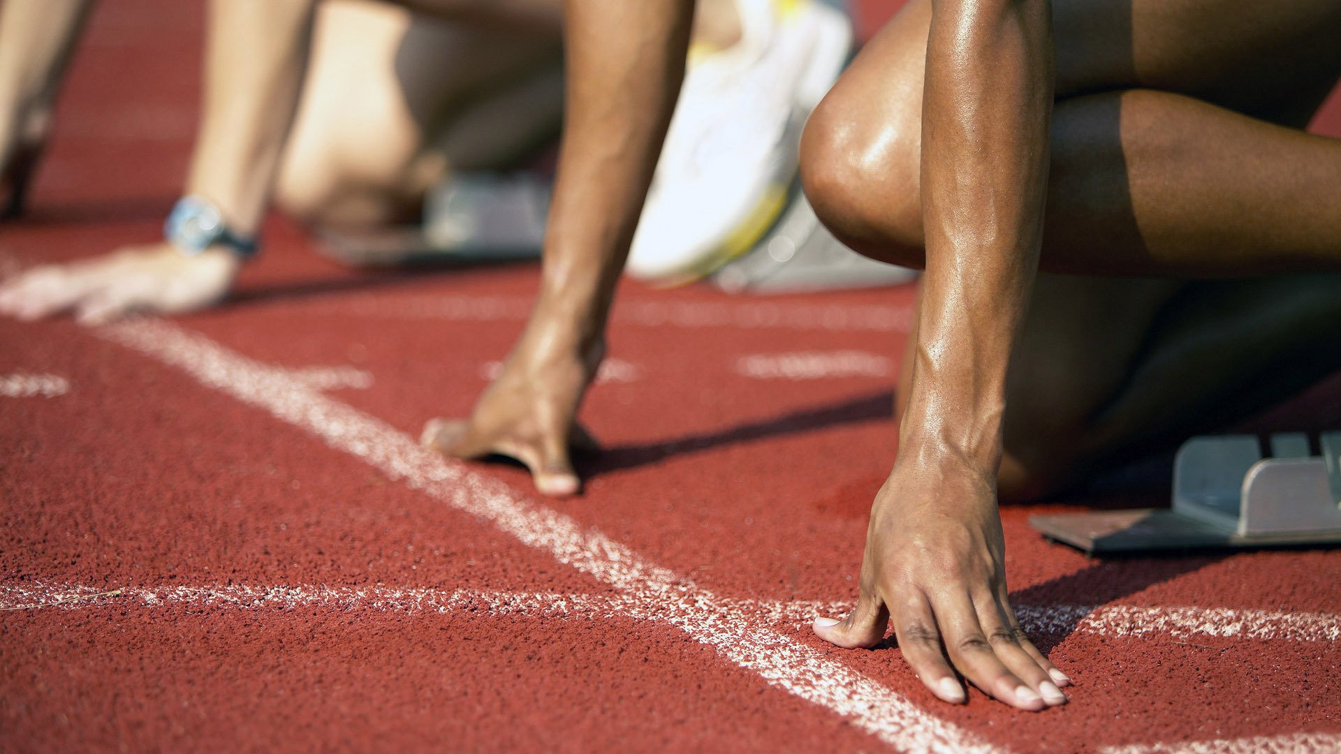 绿色低碳足球场在城市新区铺开，示范绿色体育发展路径，绿色体育馆的奇特之处